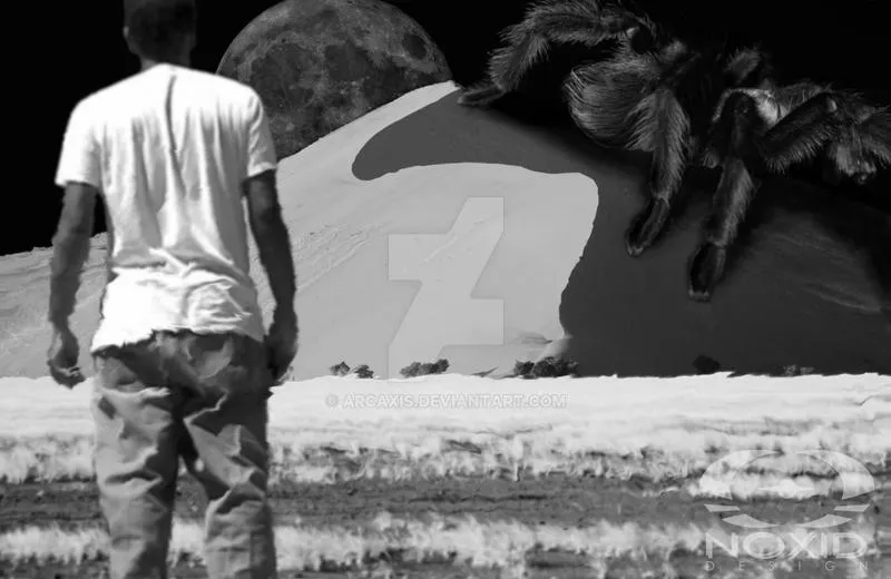 21712 dream interpretation guide