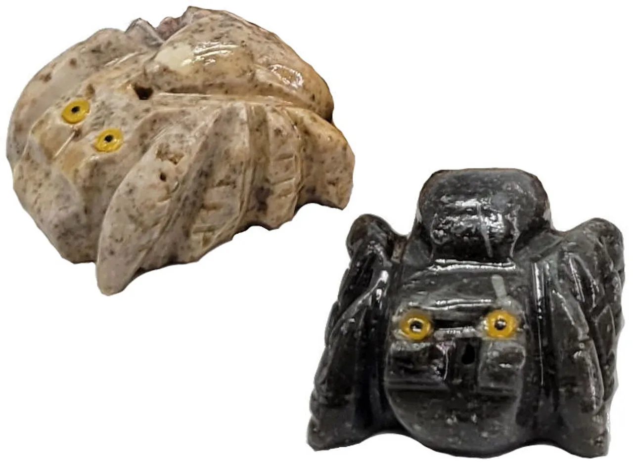 21725 tarantula shedding skin