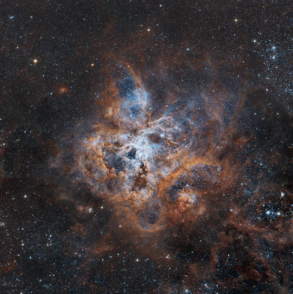21733 tarantula nebula chemical composition
