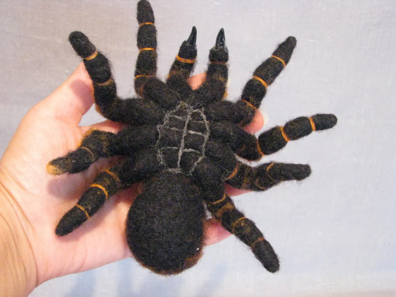 /img/21736-tarantula-handling.webp