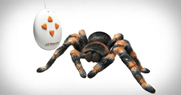 21748 lifelike tarantula movements