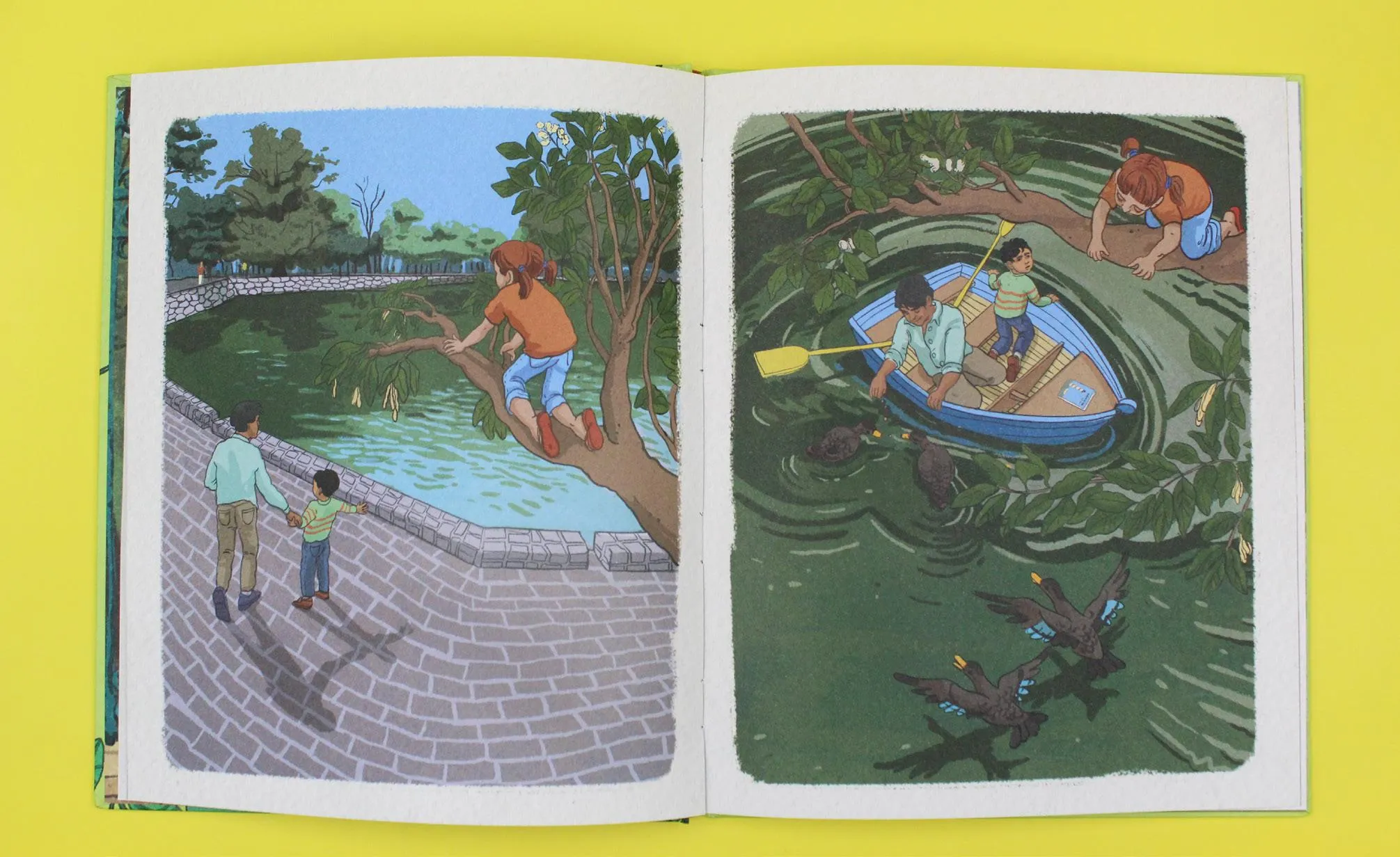 21763 tarantula species