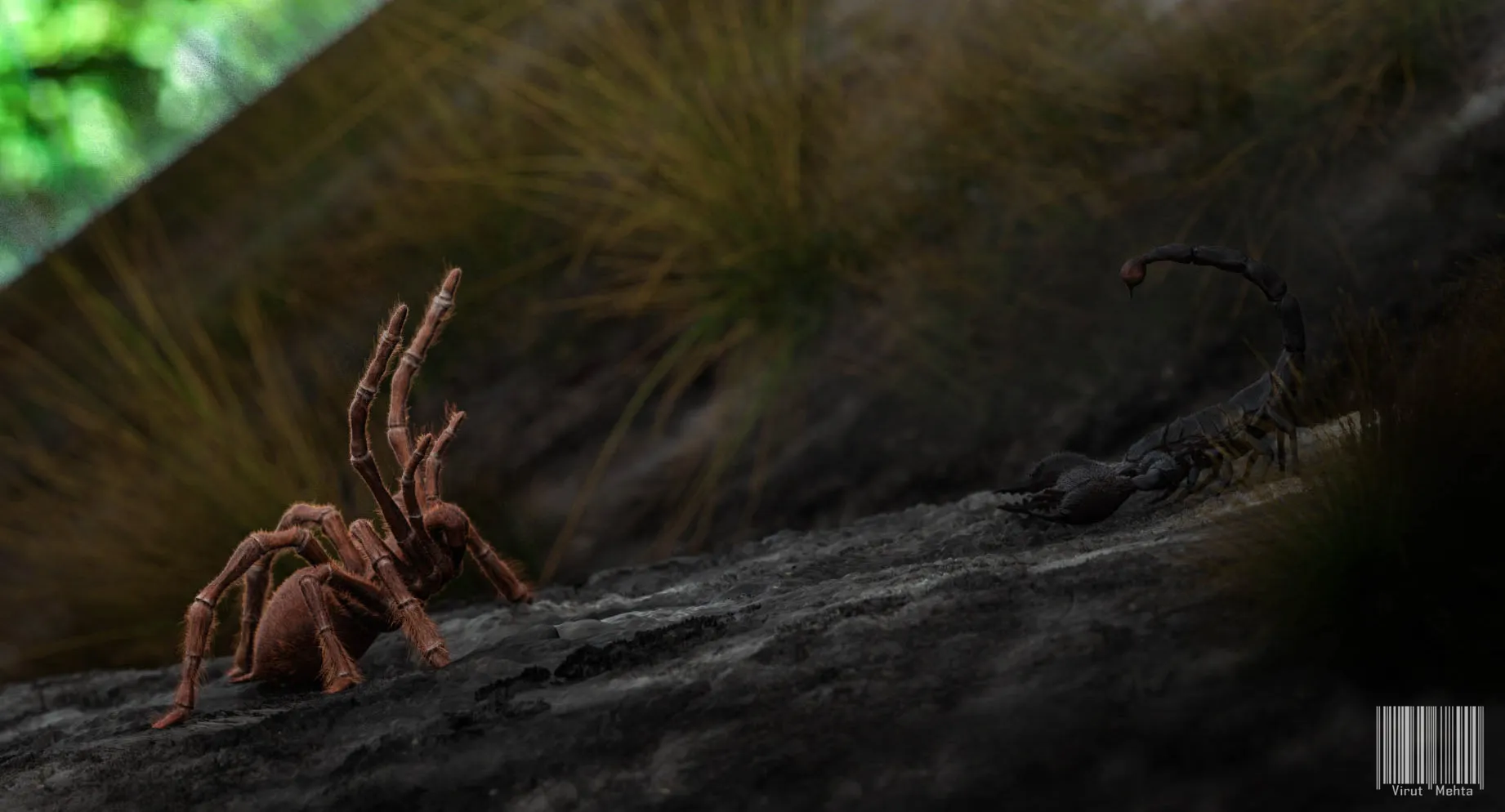 21764 environmental factors in battle