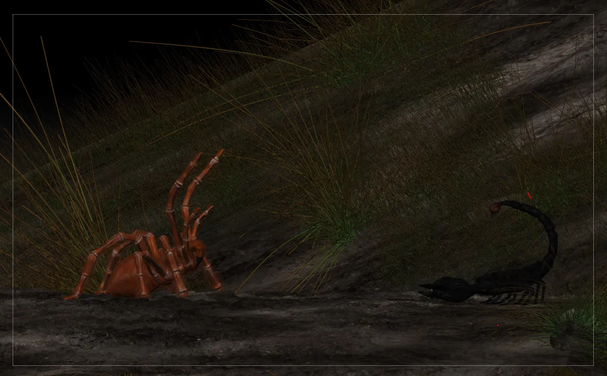 21764 tarantula age and health