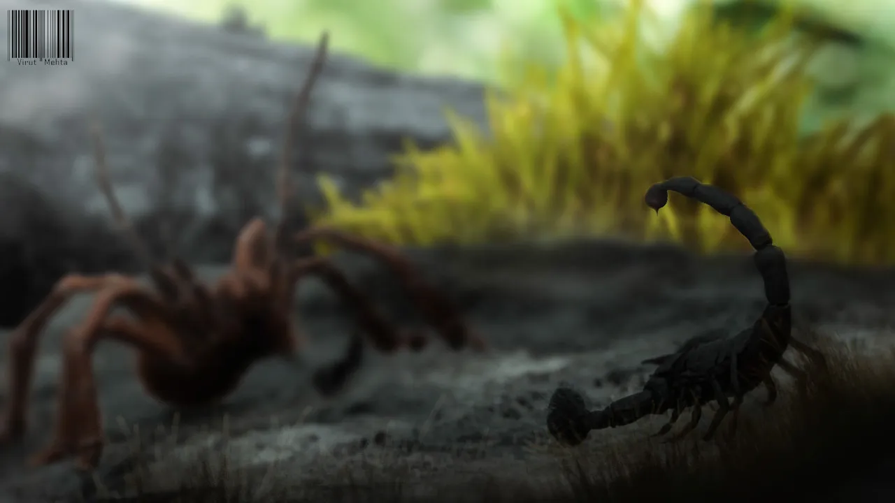 21764 tarantula hunting strategies