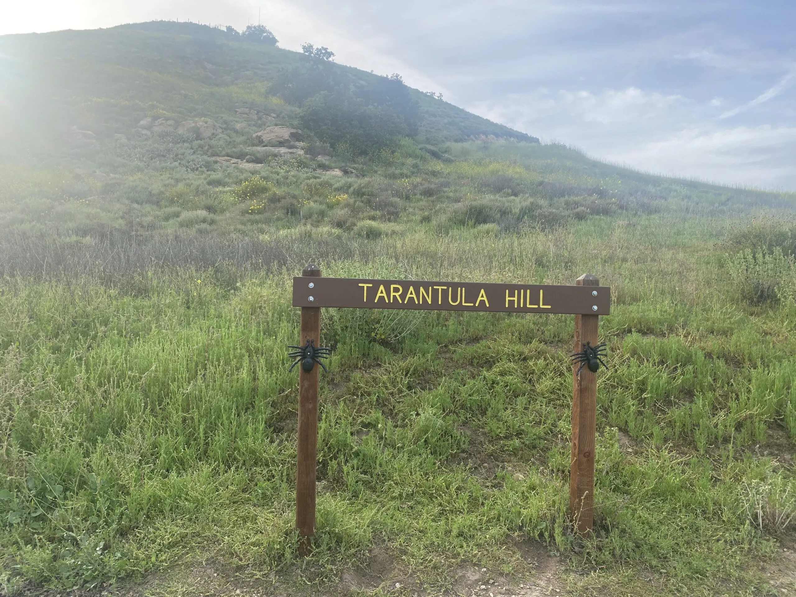 21778 tarantula hill trail best time