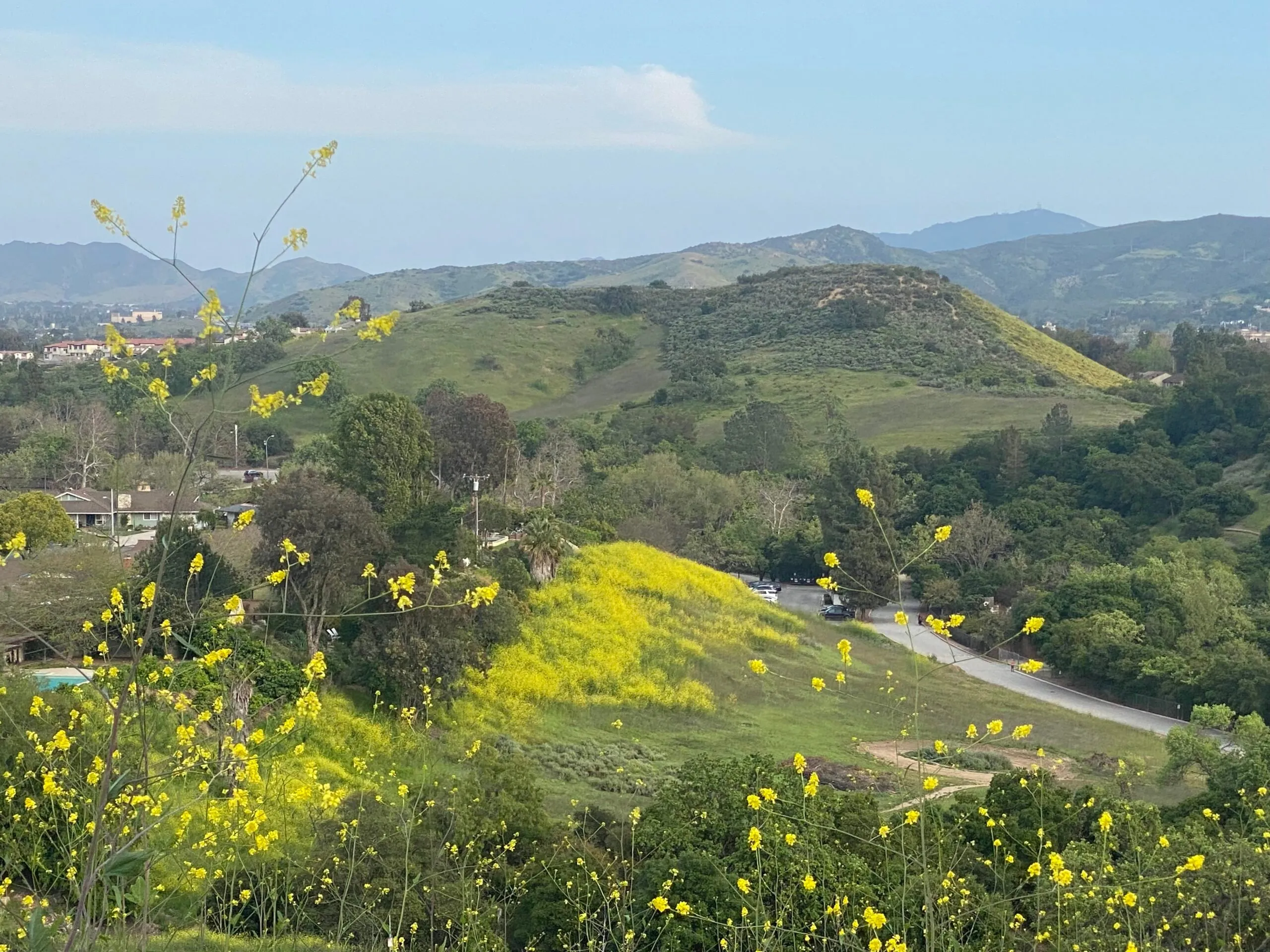 21778 tarantula hill trail wildlife