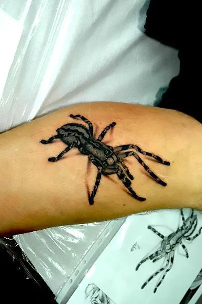 /img/21782-tarantula-tattoo-aftercare.webp