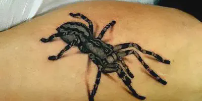 /img/21782-tarantula-tattoo-aftercare.webp