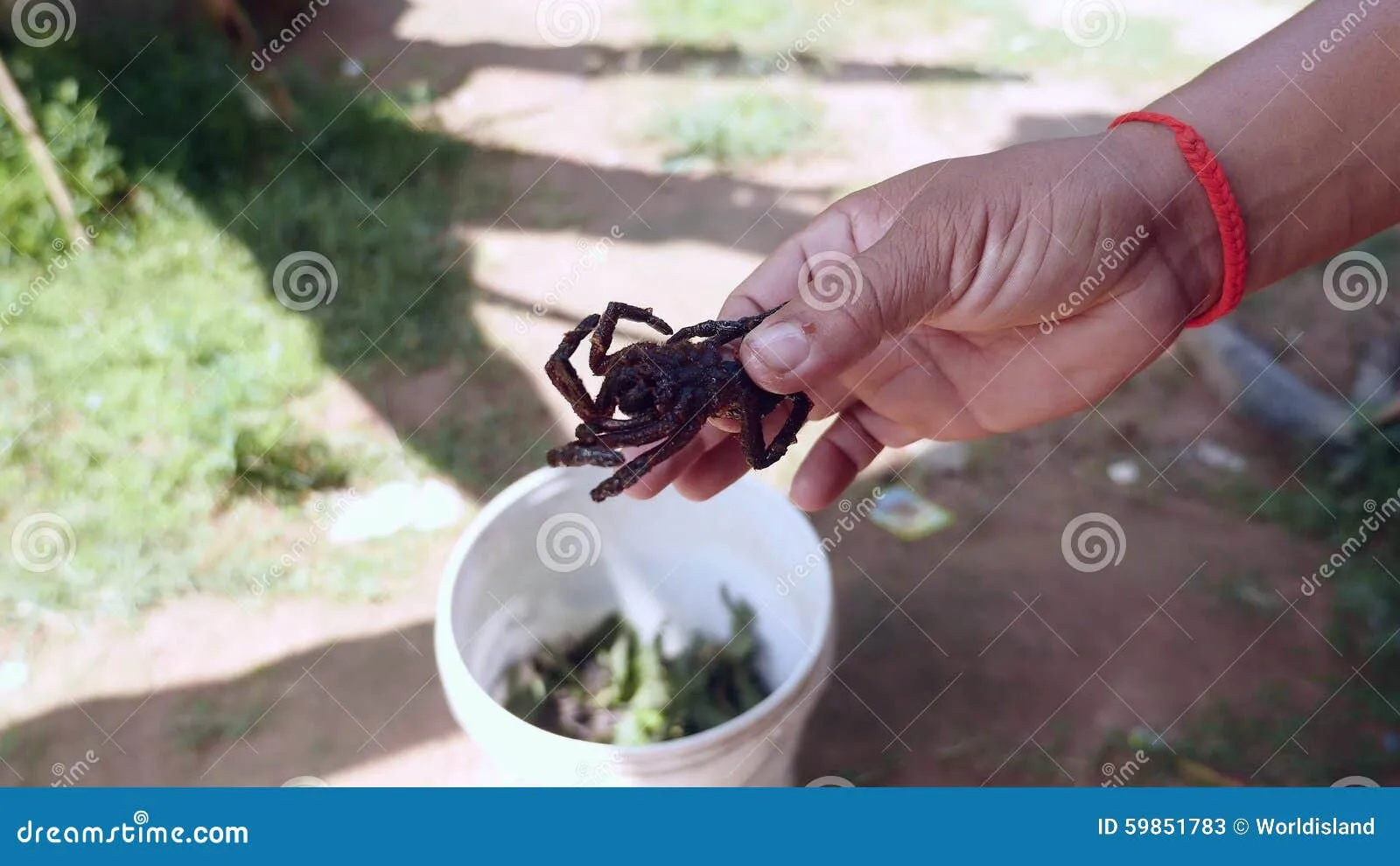 21797 deep frying process