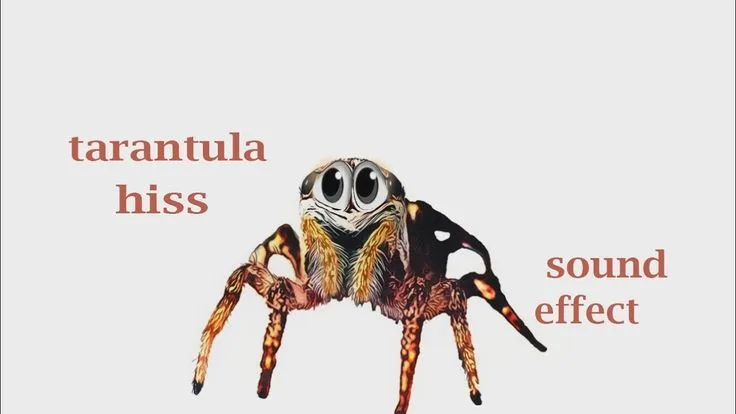 21816 tarantula unique sound
