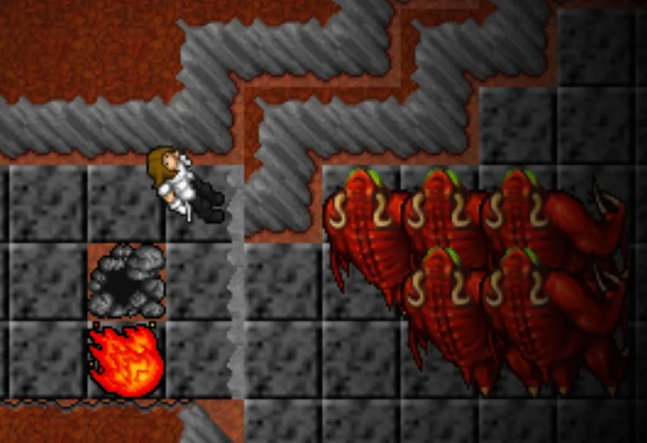 21830 tarantula mating tibia