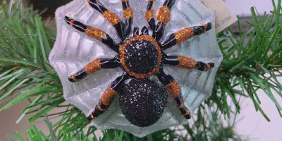 /img/21834-old-world-tarantula-unique-pet.webp