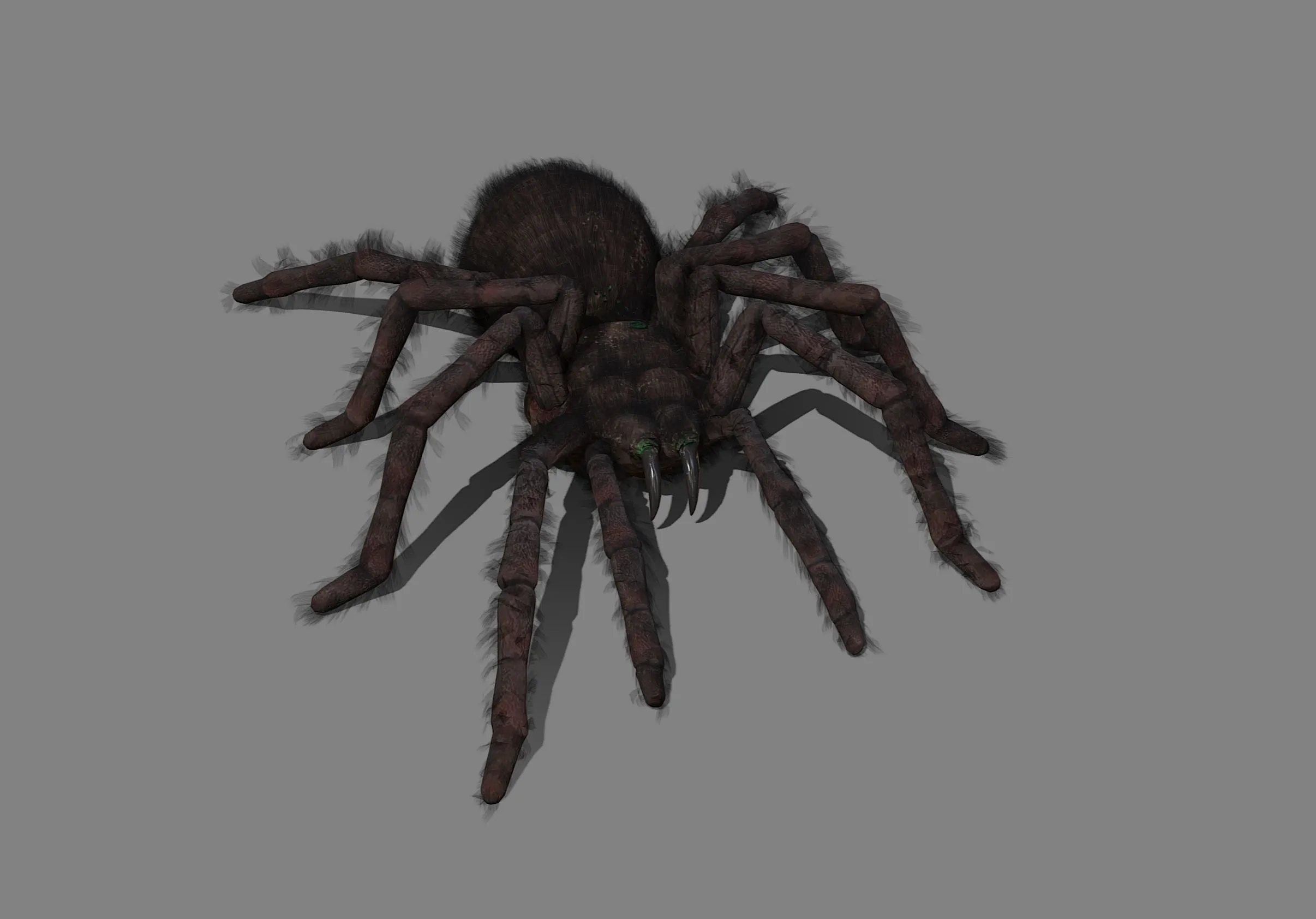 21853 downloading tarantula package