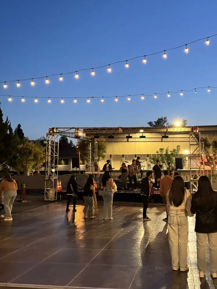 21856 tarantula feeding