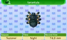 21858 animal crossing net