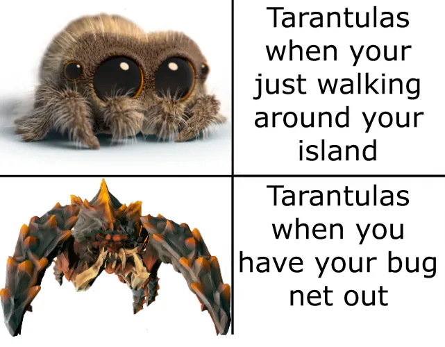 21858 animal crossing tarantula behavior