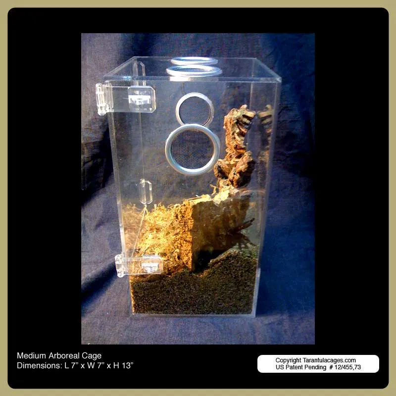 21871 tarantula acrylic cage