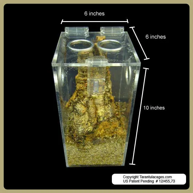 21871 tarantula lid security