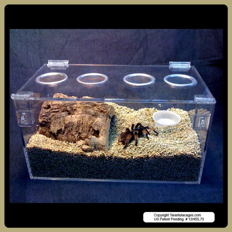 21871 tarantula size cage