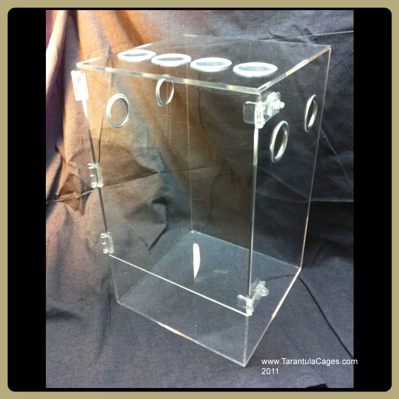 21871 tarantula ventilation