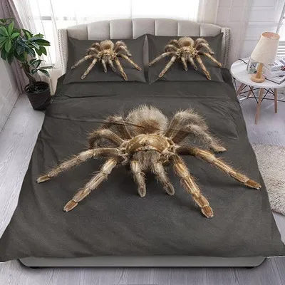 21872 tarantula bedding substrate setup