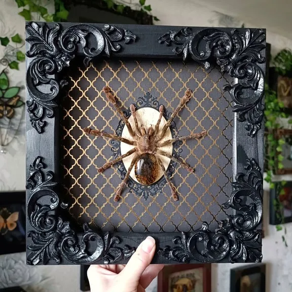 21887 tarantula box heating