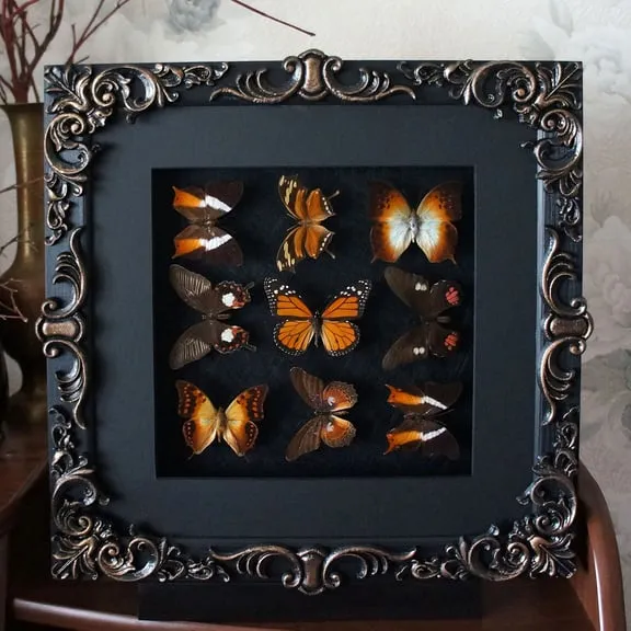 21887 tarantula box substrate