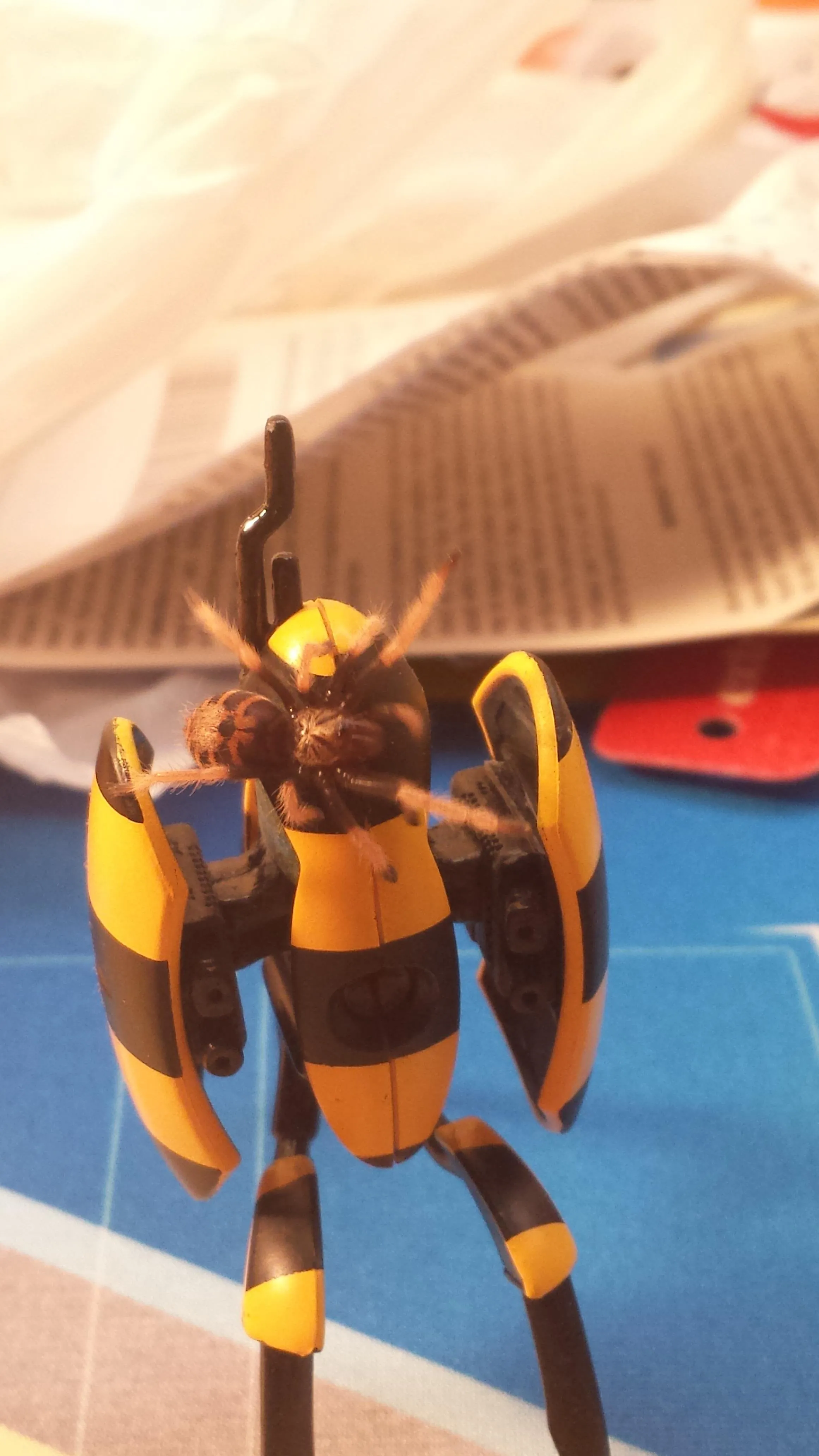 21892 gbb tarantula sling with vibrant colors