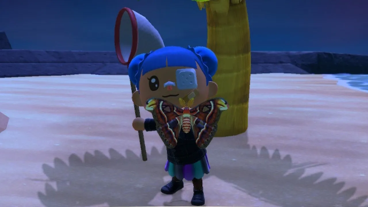 21905 catching atlas moth