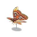 21905 catching tarantula