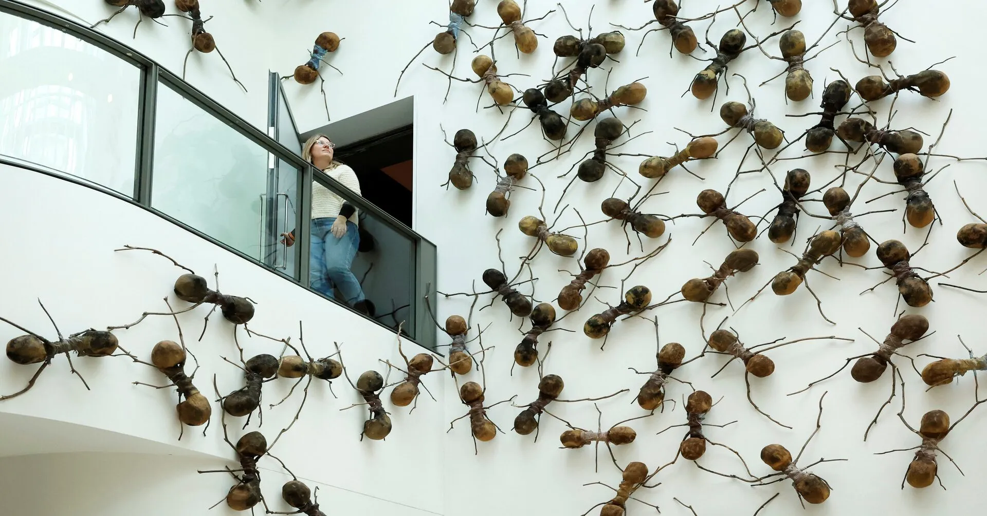 21907 tarantula humidity