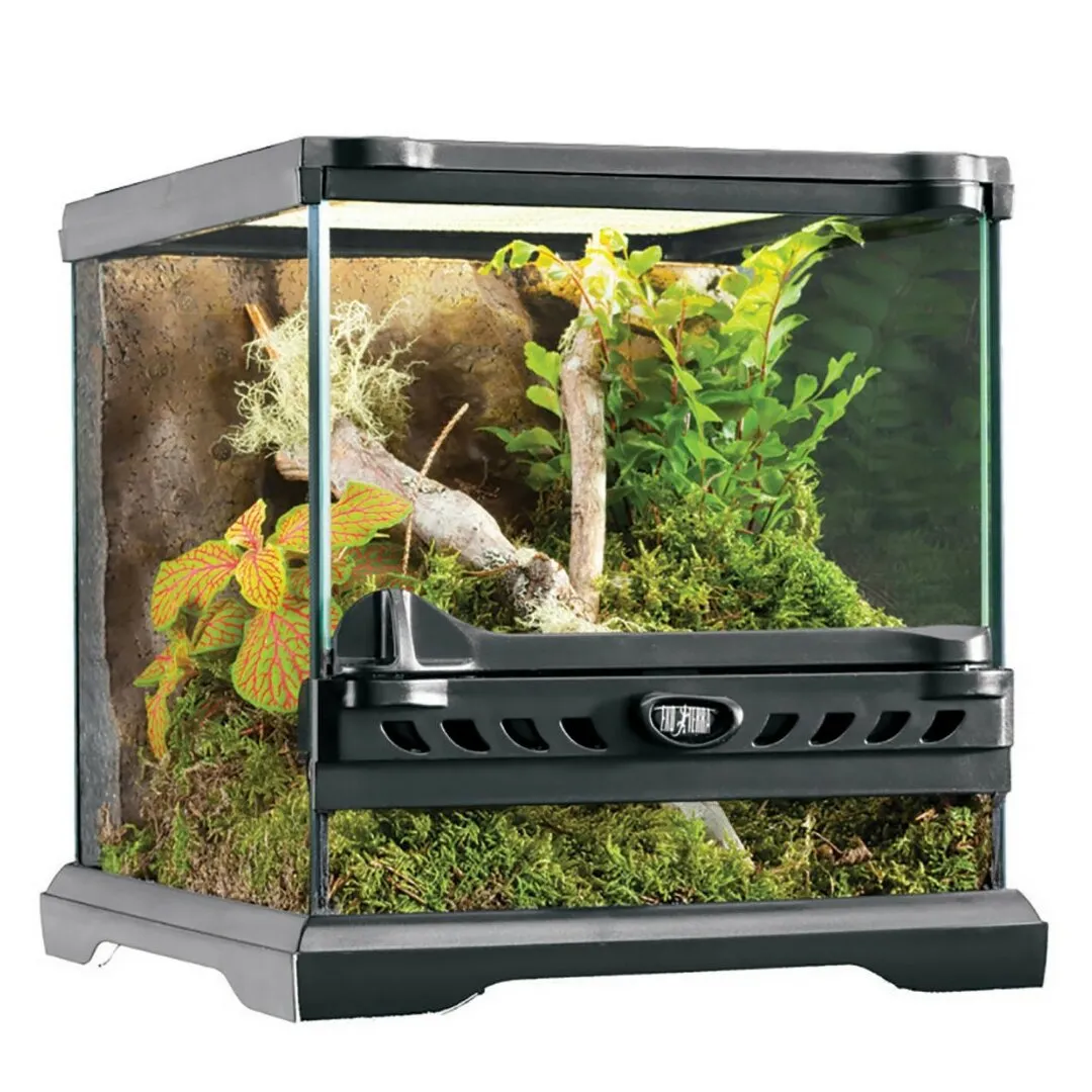 21908 tarantula review