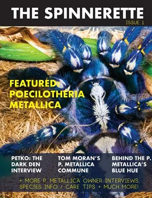 21908 tarantula shopping