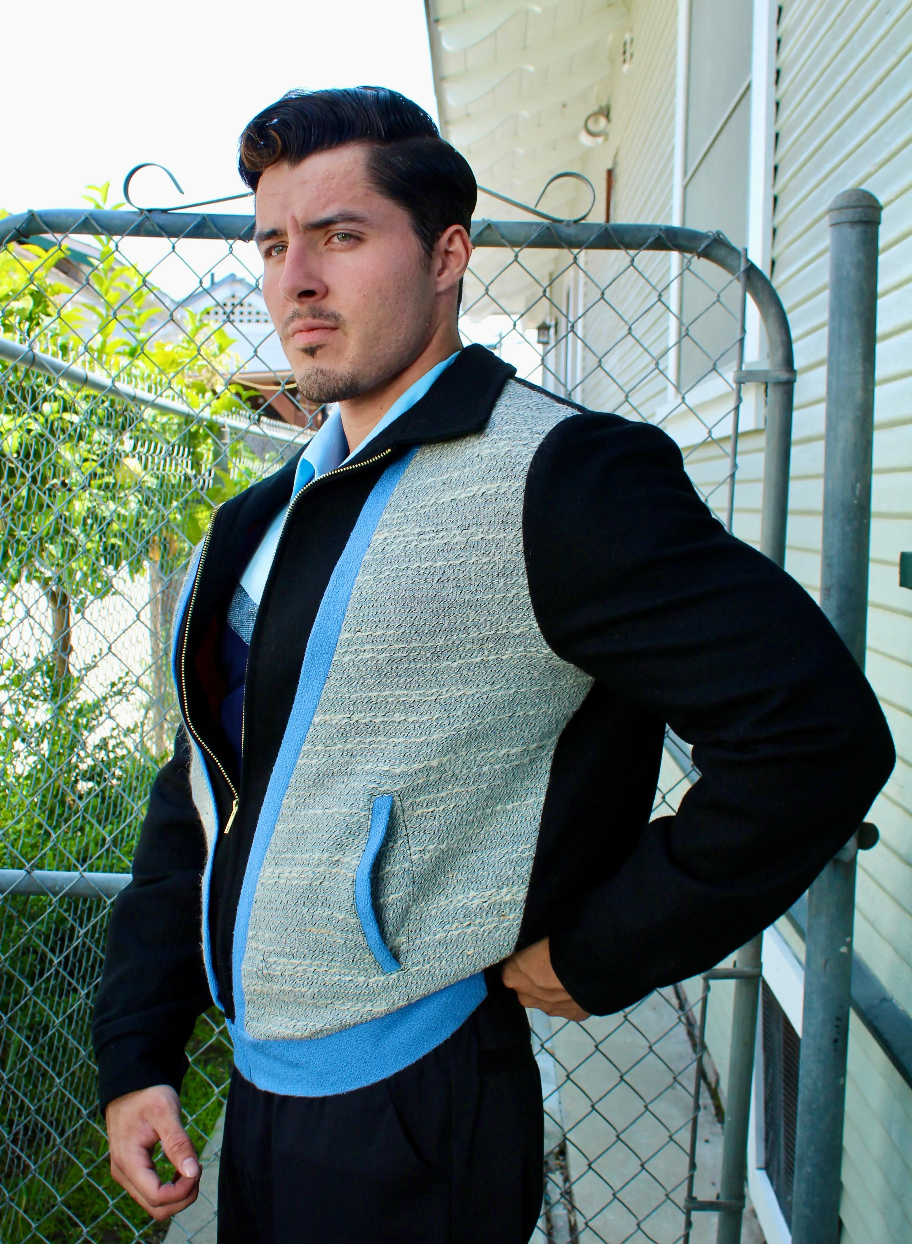 21908 tarantula species 1