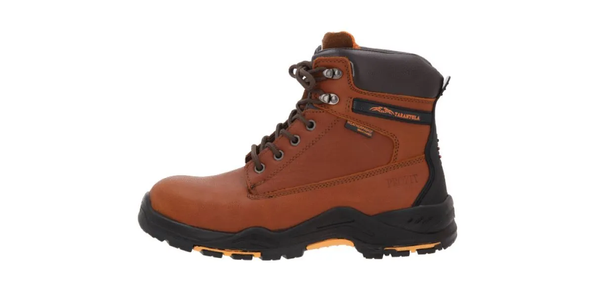 21932 tarantula habitat