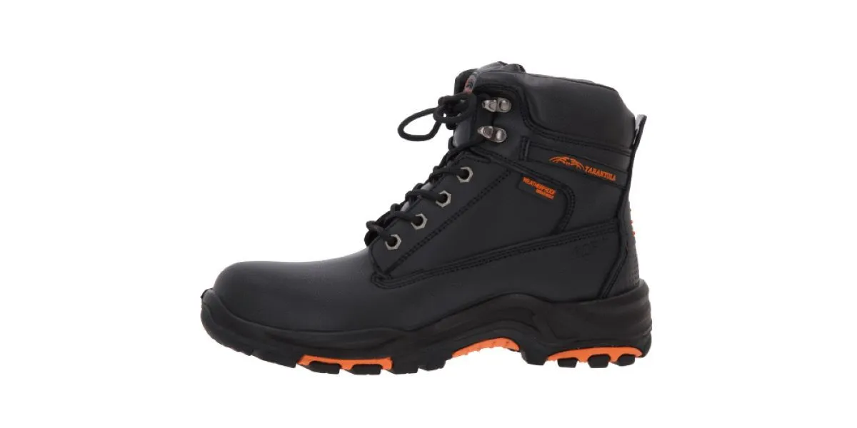 21932 tarantula species