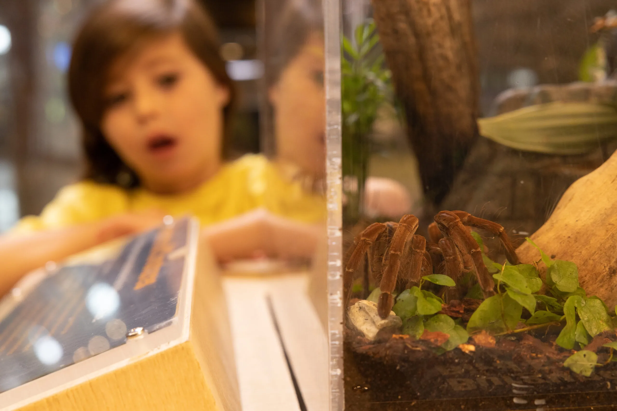 21935 cancer cells image