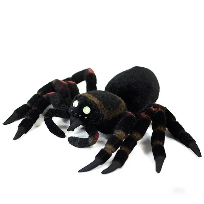 /img/21943-spider-tarantula-plush-display.webp