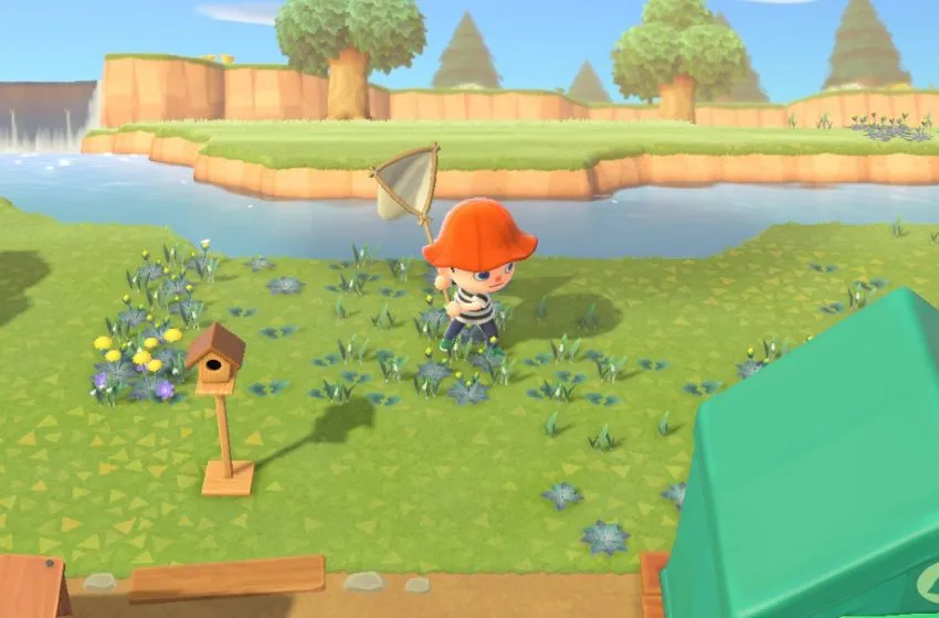 21944 animal crossing catching tarantula