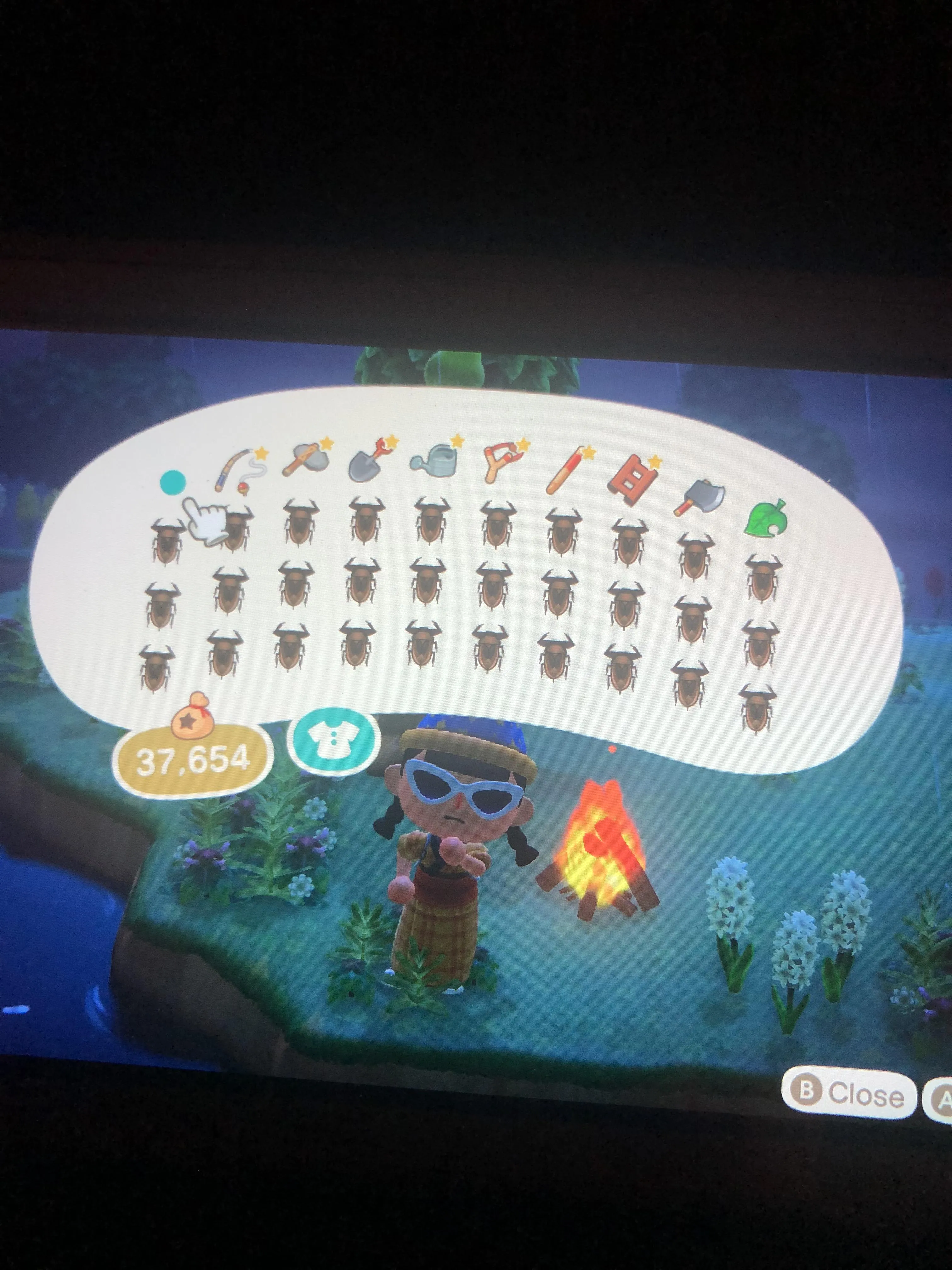 21944 animal crossing fishing