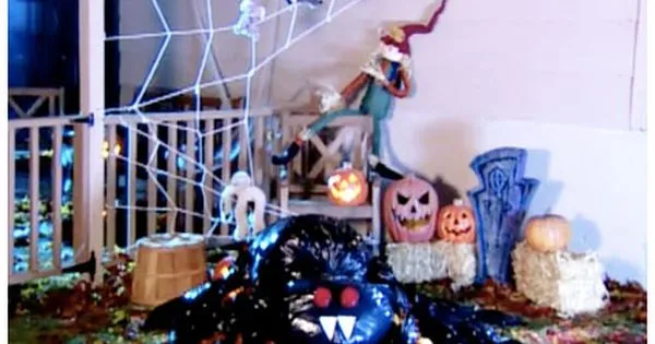 21945 tarantula species 6