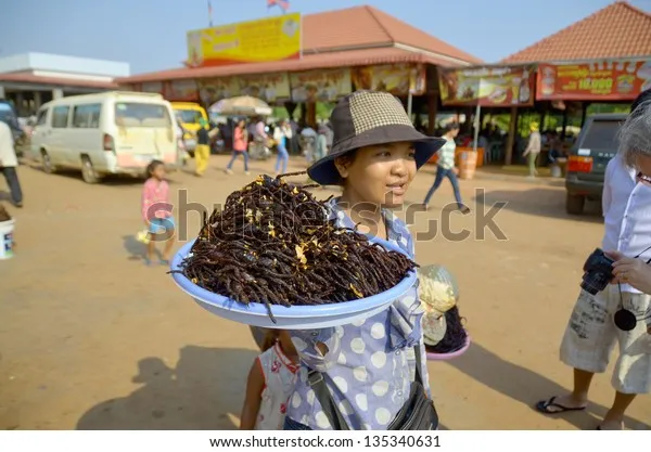 21970 tarantula humidity gauge