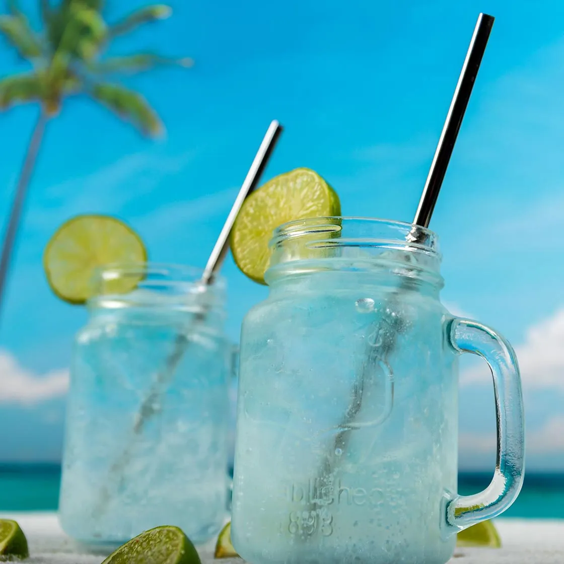 21970 tarantula water bowl options