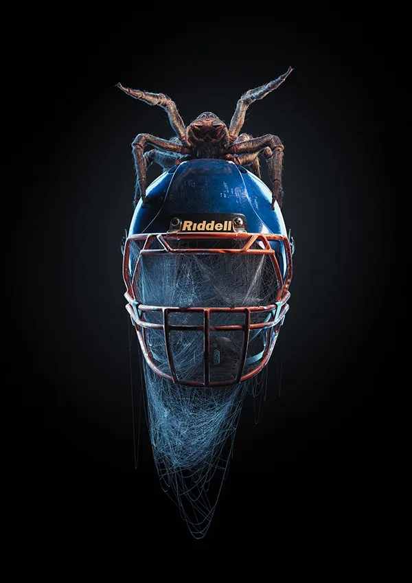 21974 3d modeling tarantula